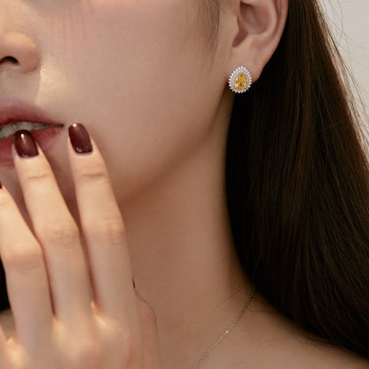[Am jewelry]Delicate Gorgeous Pear Cut Daily Earrings